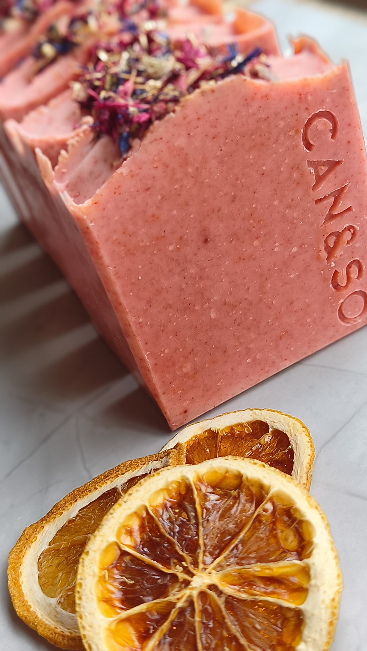 gloria rosa